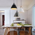 Modern Contemporary Sheepskin Pendant Light