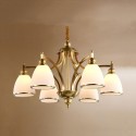 Fine Brass 6 Light Chandelier with Glass Shades