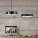 1 Light Modern/ Contemporary Luxury Pendant Light with Glass Shade