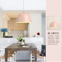 1 Light Modern/ Contemporary Pendant Light