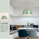 1 Light Modern/ Contemporary Pendant Light