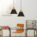 Modern/ Contemporary 1 Light Pendant Light