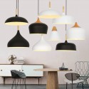 Modern/ Contemporary 1 Light Pendant Light