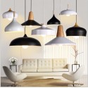 Modern/ Contemporary 1 Light Pendant Light