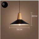 Modern/ Contemporary 1 Light Pendant Light