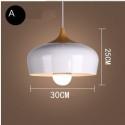 Modern/ Contemporary 1 Light Pendant Light