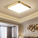 Acrylic Square Flush Mount Minimalist Gold Ceiling Light Bedroom Living Room