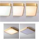 Acrylic Square Flush Mount Minimalist Gold Ceiling Light Bedroom Living Room