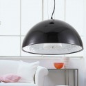 Black Rustic / Lodge 1 Light Pendant Light