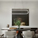 Modern Minimalist Pendant Lamp Acrylic Oval Ring Pendant Light Living Room Office