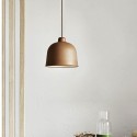 Modern/ Contemporary 1 Light Pendant Light