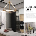 Modern/ Contemporary Pendant Light