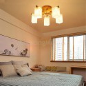 Modern Simple Glass Lampshade Ceiling Light Solid Wood Ceiling Light Bedroom Living Room