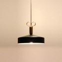 Modern/ Contemporary Multi Color Pendant Light