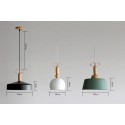 Modern/ Contemporary Multi Color Pendant Light