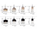 Modern/ Contemporary Pendant Light with Glass Shade