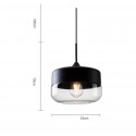 Modern/ Contemporary Pendant Light with Glass Shade