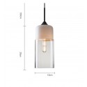 Modern/ Contemporary Pendant Light with Glass Shade