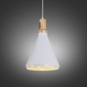 Modern/ Contemporary 1 Light Pendant Light