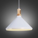 Modern/ Contemporary 1 Light Pendant Light