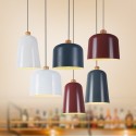 Modern/ Contemporary Pendant Light